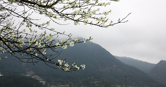 2024年12月09日金牛座今日明日運(yùn)勢(shì)查詢