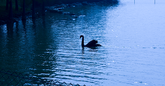 塔羅牌復(fù)合測(cè)試小程序